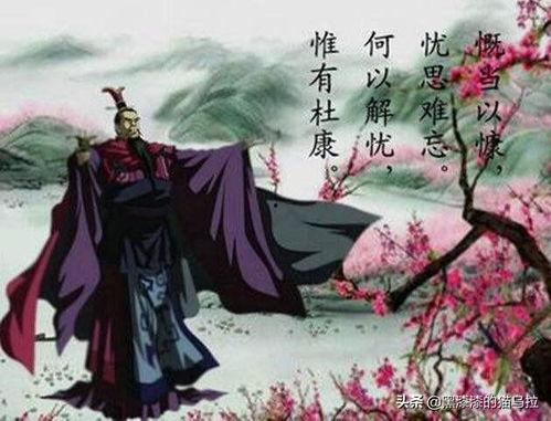 月明星稀乌鹊南飞翻译,描绘秋夜别离之美