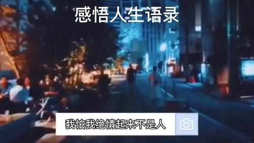 深圳今日头条情感语录,共鸣心灵，温暖时光