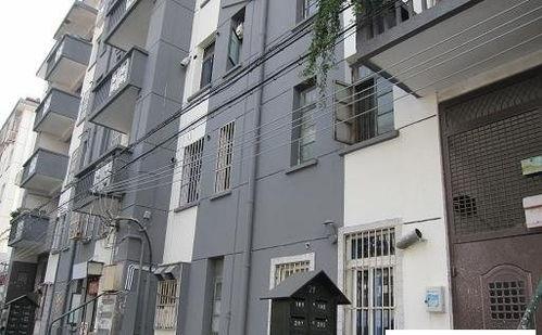惠州溪北新村新闻头条,打造宜居宜业新典范
