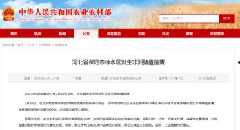 保定徐水区新闻头条直播,聚焦最新动态，直播呈现精彩瞬间