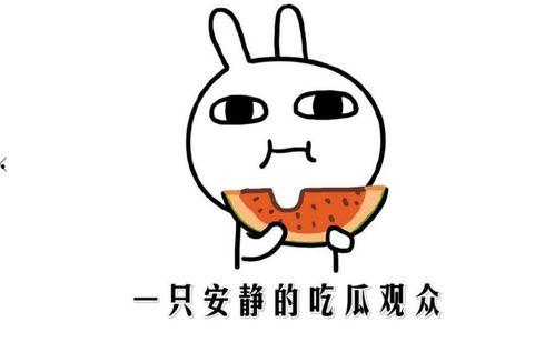 吃瓜事件什么意思,网络舆论场中的真相与误解